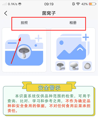 菌窝子拍照识菌教程
