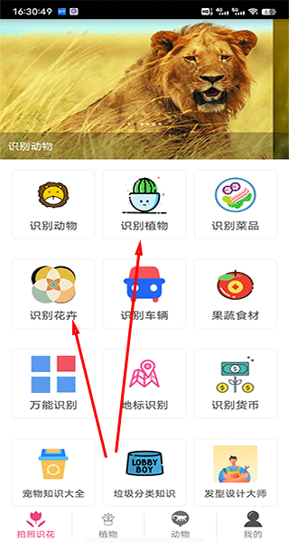 拍照识花神器手机版