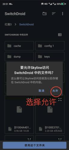 skyline模拟器2024最新版