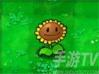 植物大战僵尸经典版中文版