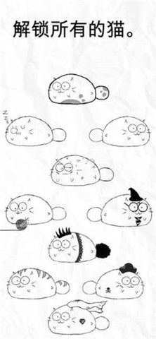 fatty cat app