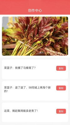 酷评大师