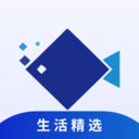 酷鱼数字