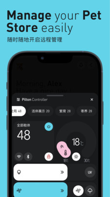 Pilton截图