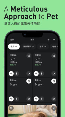 Pilton截图