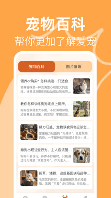 猫狗宠物翻译通