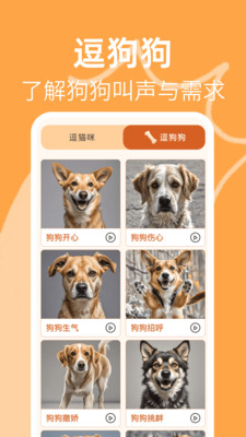 猫狗宠物翻译通