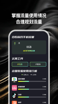 巴蛇流量助手