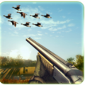 Duck Hunting