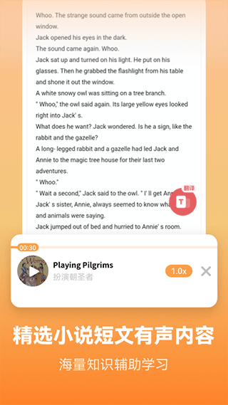 莱特英语学习背单词(Light English Learning)截图
