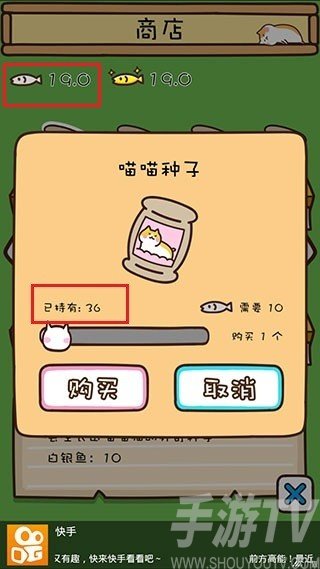 猫咪田园9