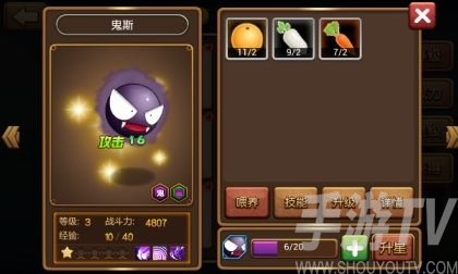 口袋进化