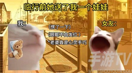 猫meme搞怪冒险