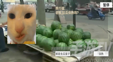猫meme搞怪冒险