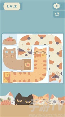 管道猫咪