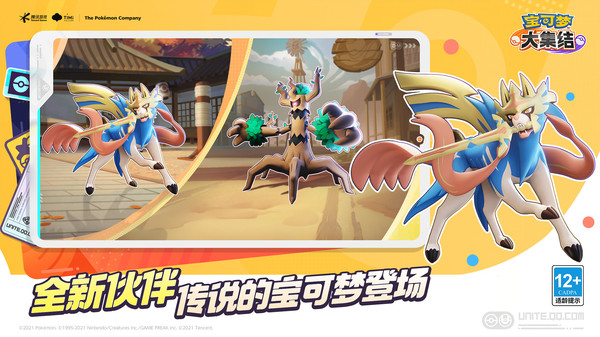 宝可梦大集结截图