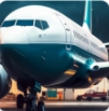 航空公司经理2025