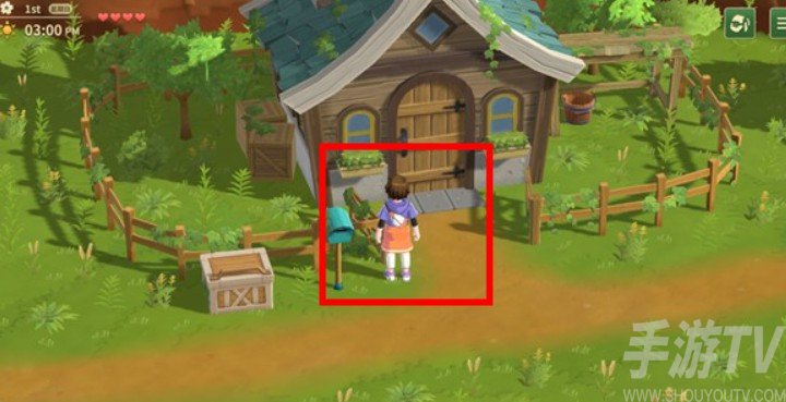 牧场物语甜蜜之家