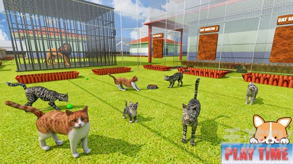 动物庇护所宠物世界