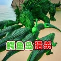 鳄鱼岛大猎杀逃