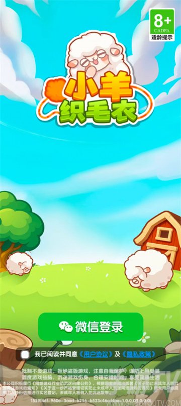 小羊织毛衣