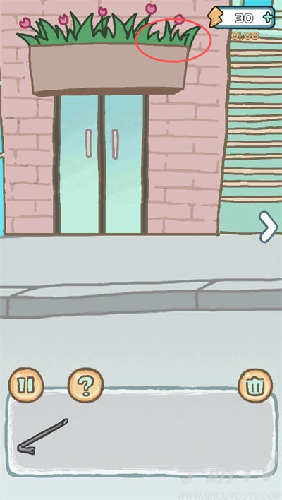 养只二哈不容易