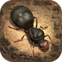 小小蚁国37版本