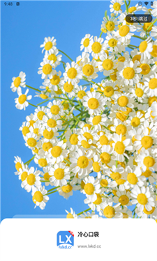 冷心口袋最新版