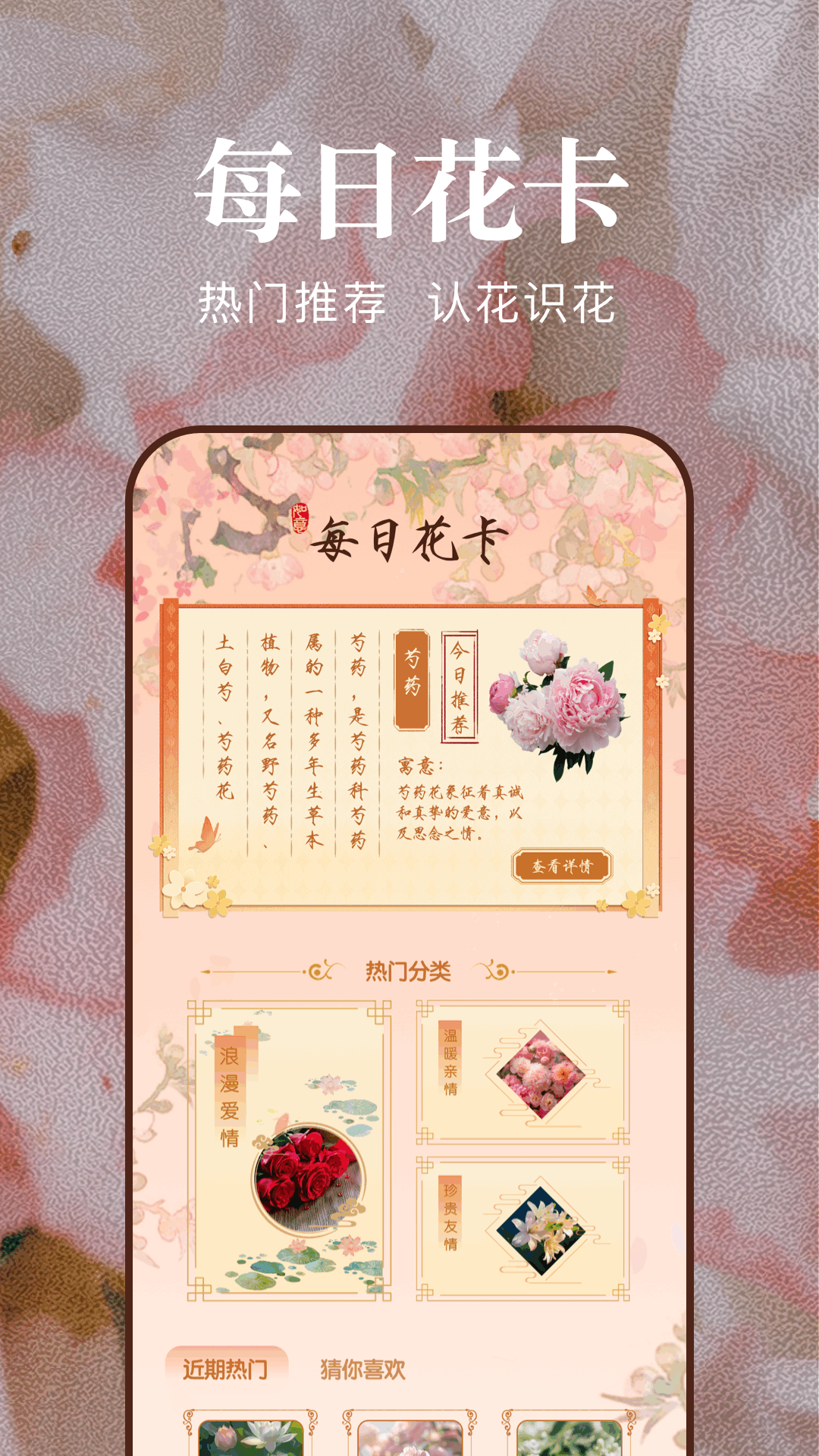 猫咪社区轻量版