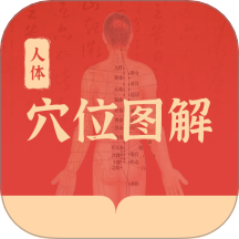 人体穴位图解