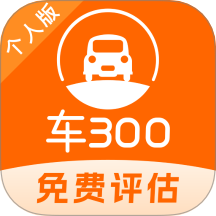 车300二手车