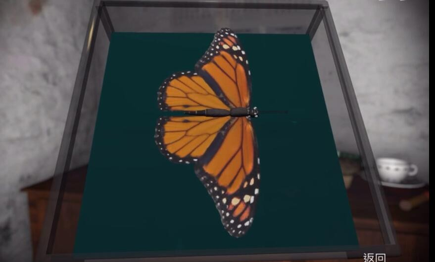 孙美琪疑案：鬼佬