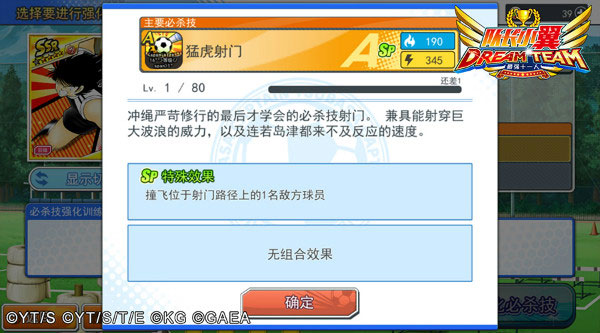 队长小翼：最强十一人