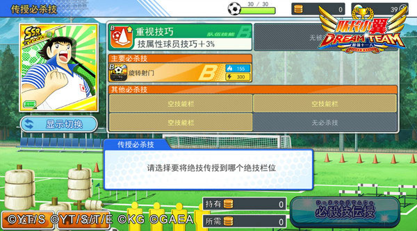 队长小翼：最强十一人