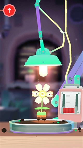 托卡实验室：植物