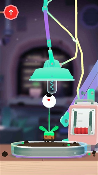 托卡实验室：植物