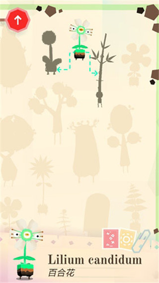 托卡实验室：植物