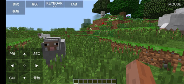 我的世界Java版中文版