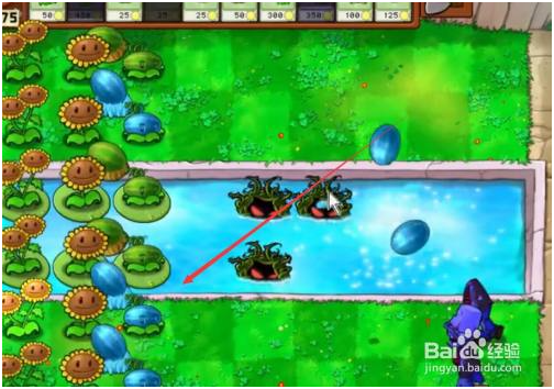 植物大战僵尸单机版