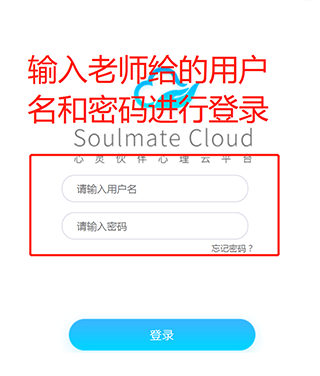 心灵伙伴