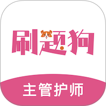 主管护师刷题狗