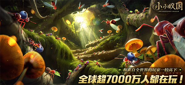 小小蚁国国际服