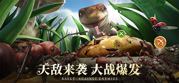 小小蚁国国际服