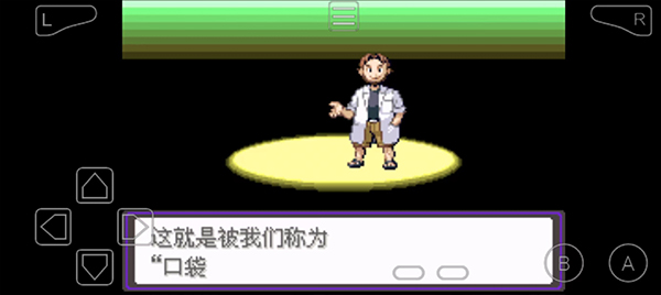 口袋妖怪漆黑的魅影5.0手机版