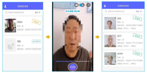 定期报告系统低保