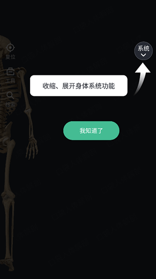 口袋人体解剖