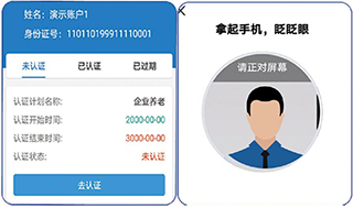 河北人社养老认证App