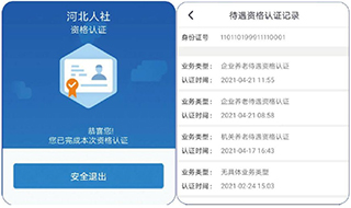 河北人社养老认证App