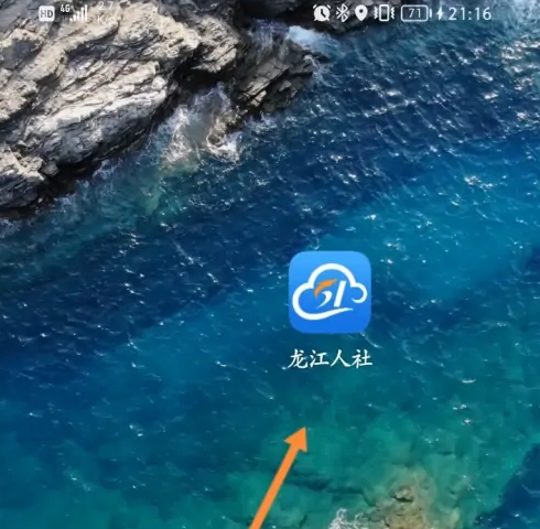 龙江人社养老认证
