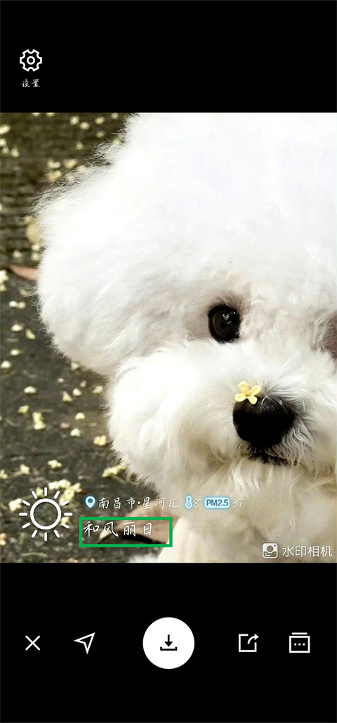 水印相机安卓版